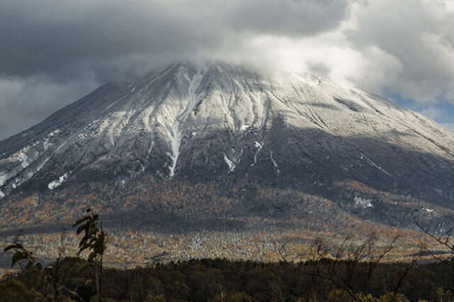 First Snow3