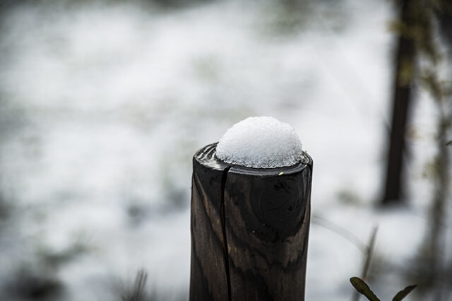 First Snow4