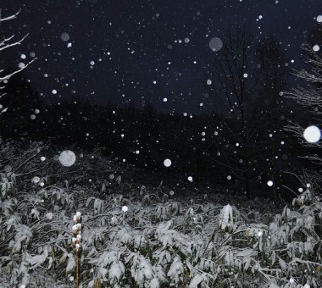 glenfirst-snow-2014-01crop