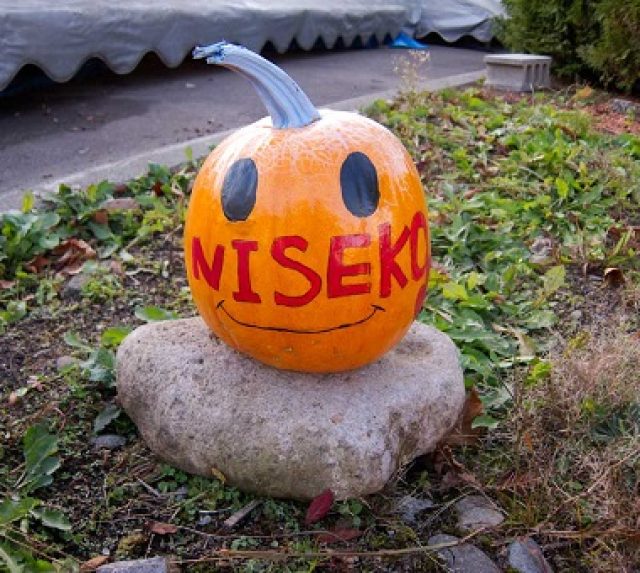 pumpkin-niseko-smile crop