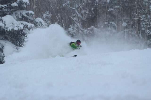 Roko Snow
