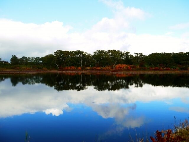 Shinsen Numa Marsh Autumn