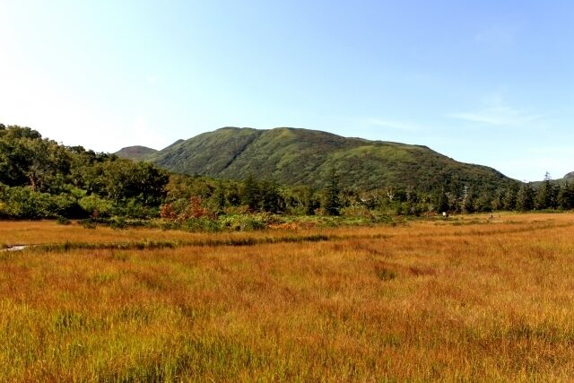 Shinsen Numa Marsh Autumn2
