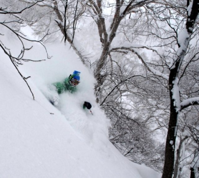 skiing-cold-380