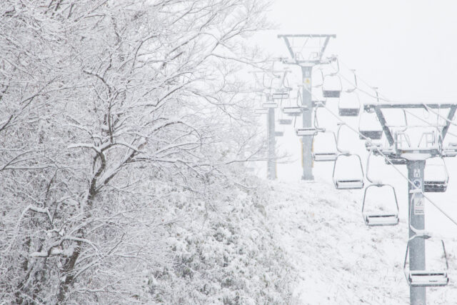 This season's snow.