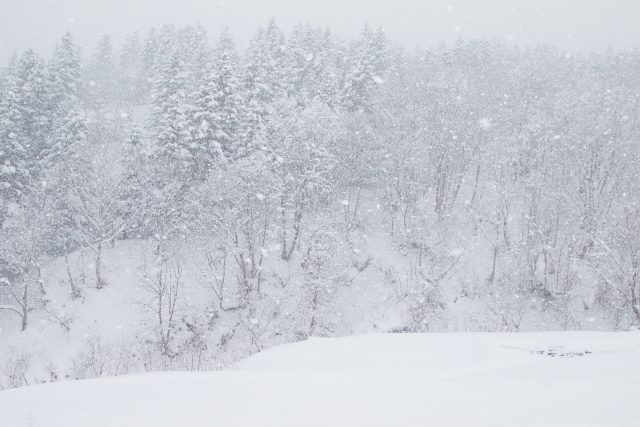 Wintersnow Gondolaopening 12 02 17 4 1