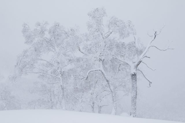 Wintersnow Openingday 3
