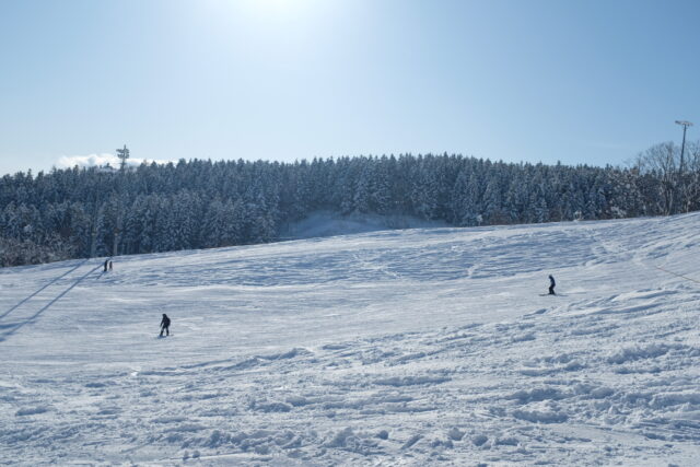Grand Hirafu Slope bluebird with action 1