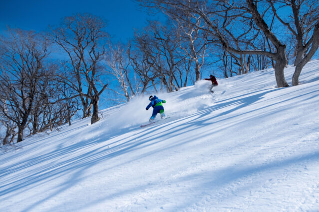 Go Snow Board Workshop
