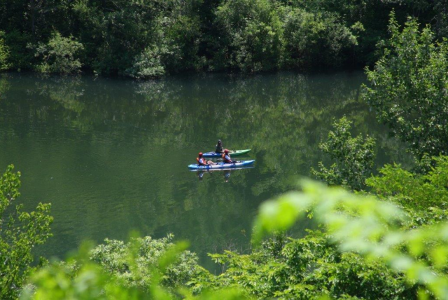 Kayak