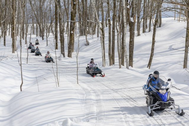 Large Snowfield Course