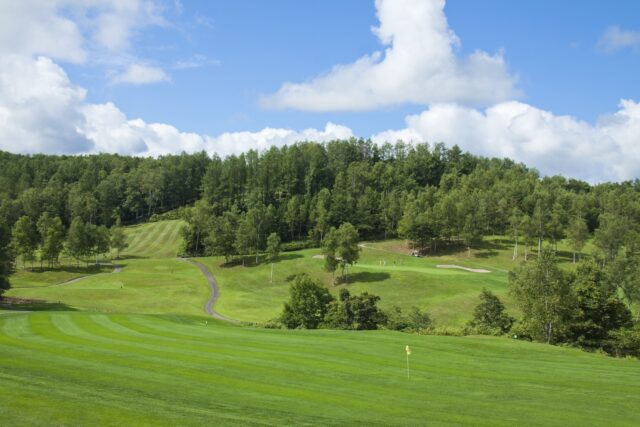 Golf landscape