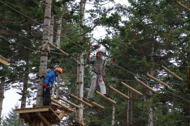 Adventure Park Gallery 1