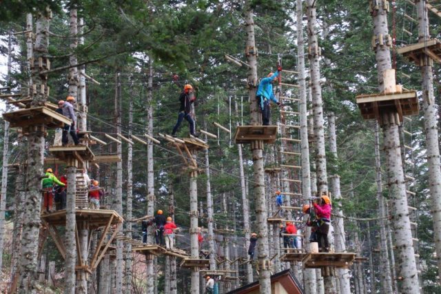 Adventure Park Gallery 2