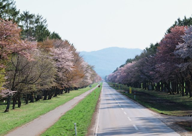 hokkaido-roads
